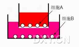 transwell实验全面总结